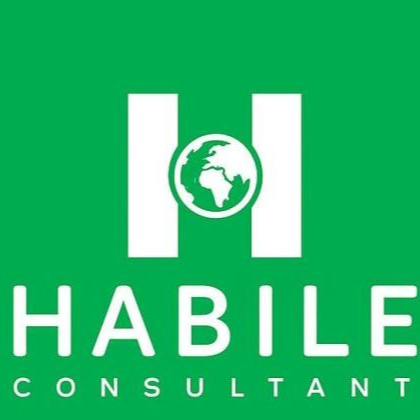 Habile Consultant